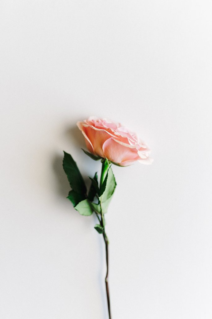 Les vertus et la signification de la pierre Quartz rose
